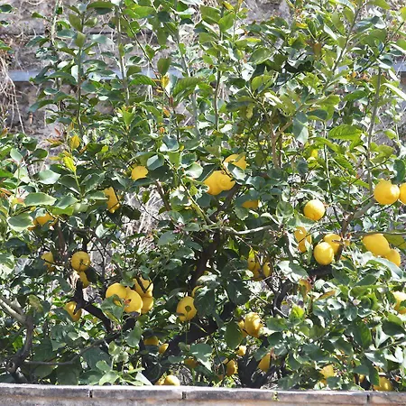 Hotel Palazzo Krataiis Scilla