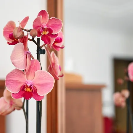 Palazzo Krataiis 4* Scilla